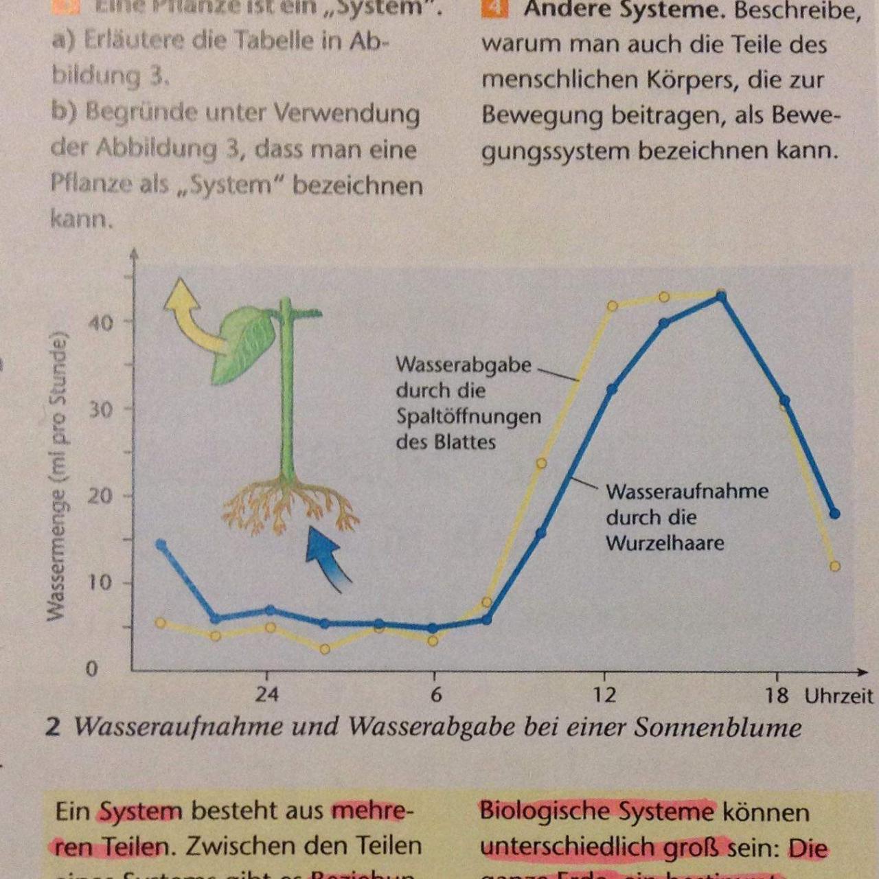 Wasseraufnahme in feuchten Umgebungen