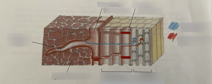 Wasseraufnahme in feuchten Umgebungen