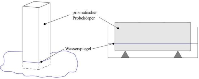 Wasseraufnahme in trockenen Umgebungen