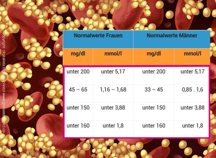 Cholesterin ldl hdl normalwerte triglyceride tabelle blutwert wert hoch niedrig normwerte lipoprotein werte erhöht ausdrucken gute darf vermindert erhöhte trg