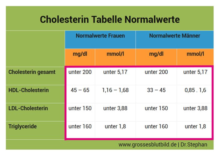 Cholesterinwert berechnen