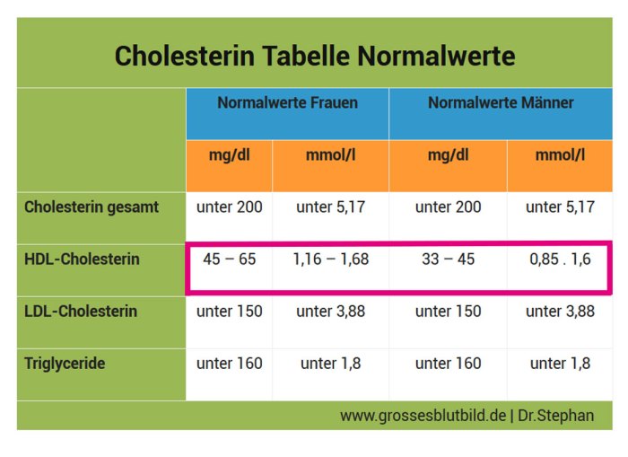 Cholesterol levels chart guidelines lipid understanding profile article definitive guide find here