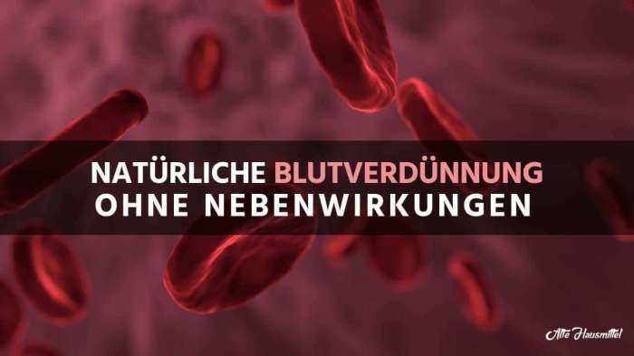 Blutverdünner natürlich