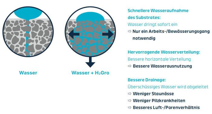 Wasseraufnahme in trockenen Umgebungen