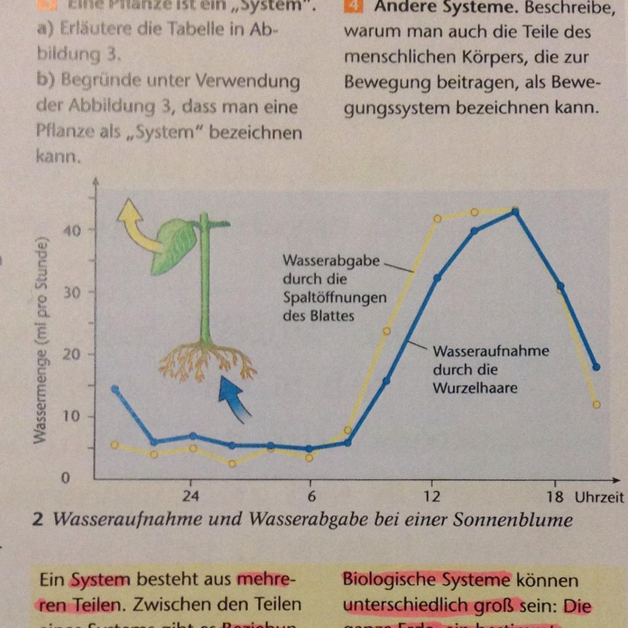 Wasseraufnahme und Pflanzenwachstum