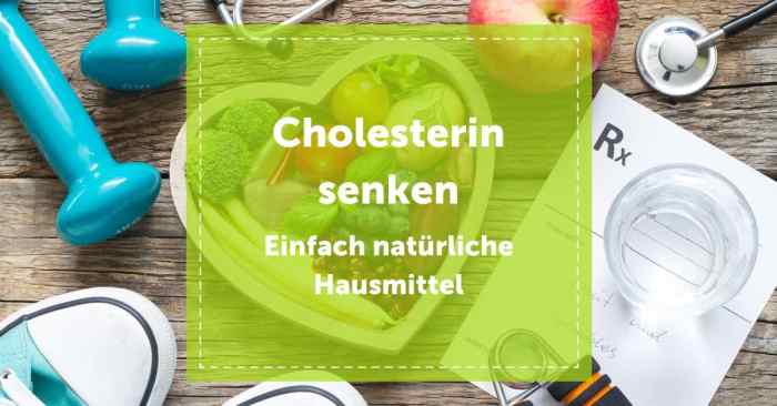 Cholesterinwerte senken mit Hausmitteln