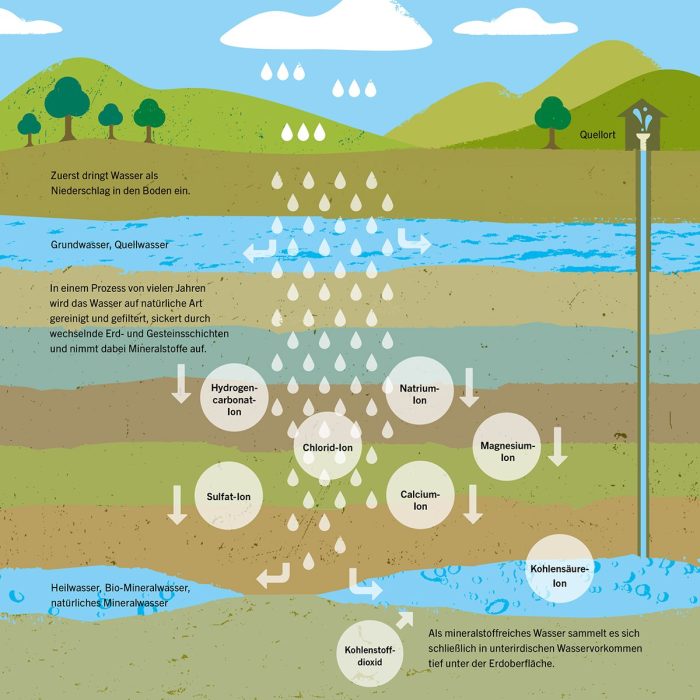 Wasseraufnahme und Nährstoffaufnahme