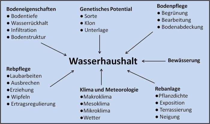 Beeinflussen faktoren xmind