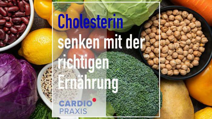 Cholesterinwerte natürlich senken