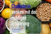 Cholesterinspiegel natürlich senken: Ein Leitfaden für einen gesunden Lebensstil