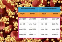 Cholesterinwert berechnen: Einfach erklärt und zielgerichtet