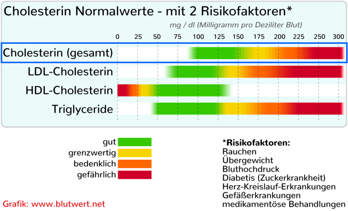 Cholesterinwerte senken mit Hausmitteln