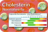 Cholesterinwerte interpretieren: Gesundheitliche Bedeutung und Maßnahmen zur Optimierung