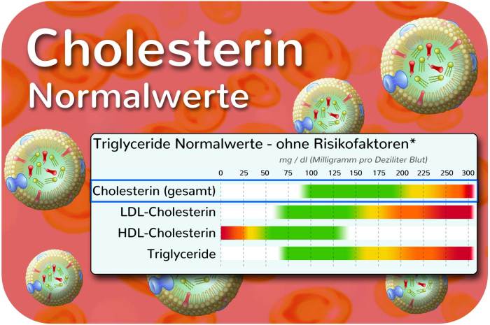 Cholesterin hdl wert tabelle werte guter normwerte normalwerte niedrig grossesblutbild gesunde stephan